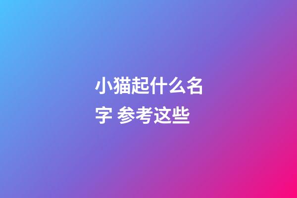 小猫起什么名字 参考这些